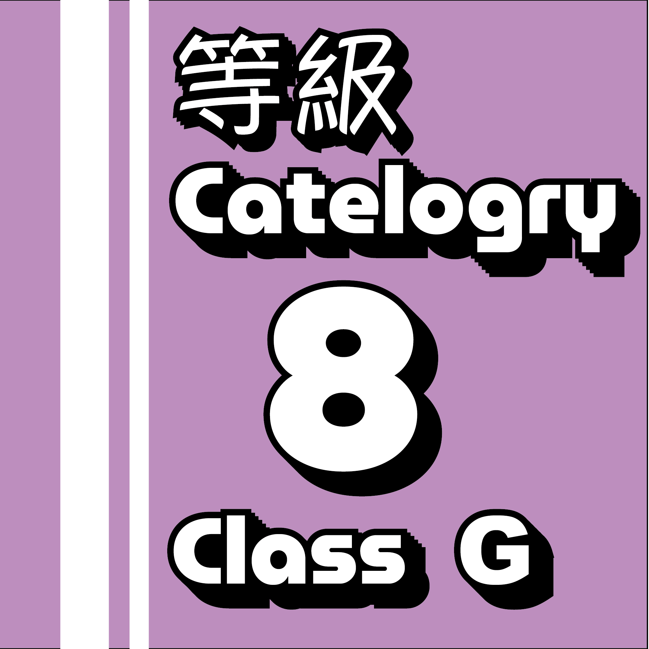 Cat-8 (Class G) 網路線等級