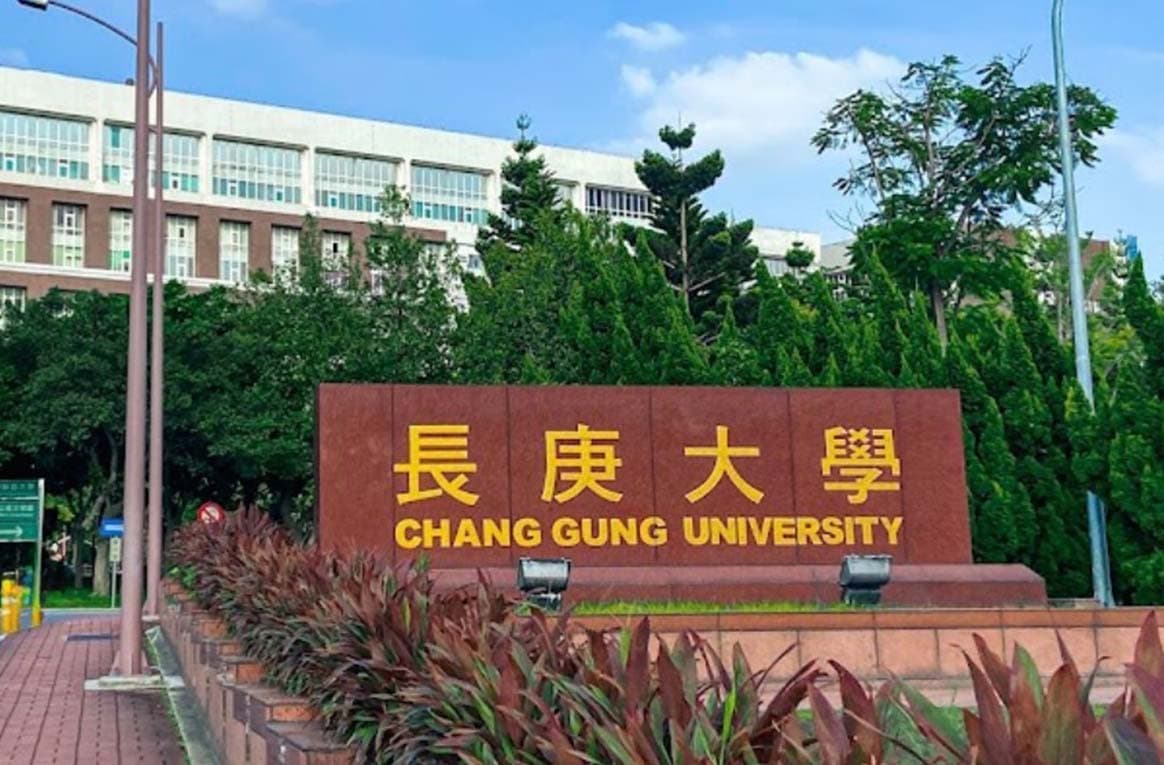 長庚大學