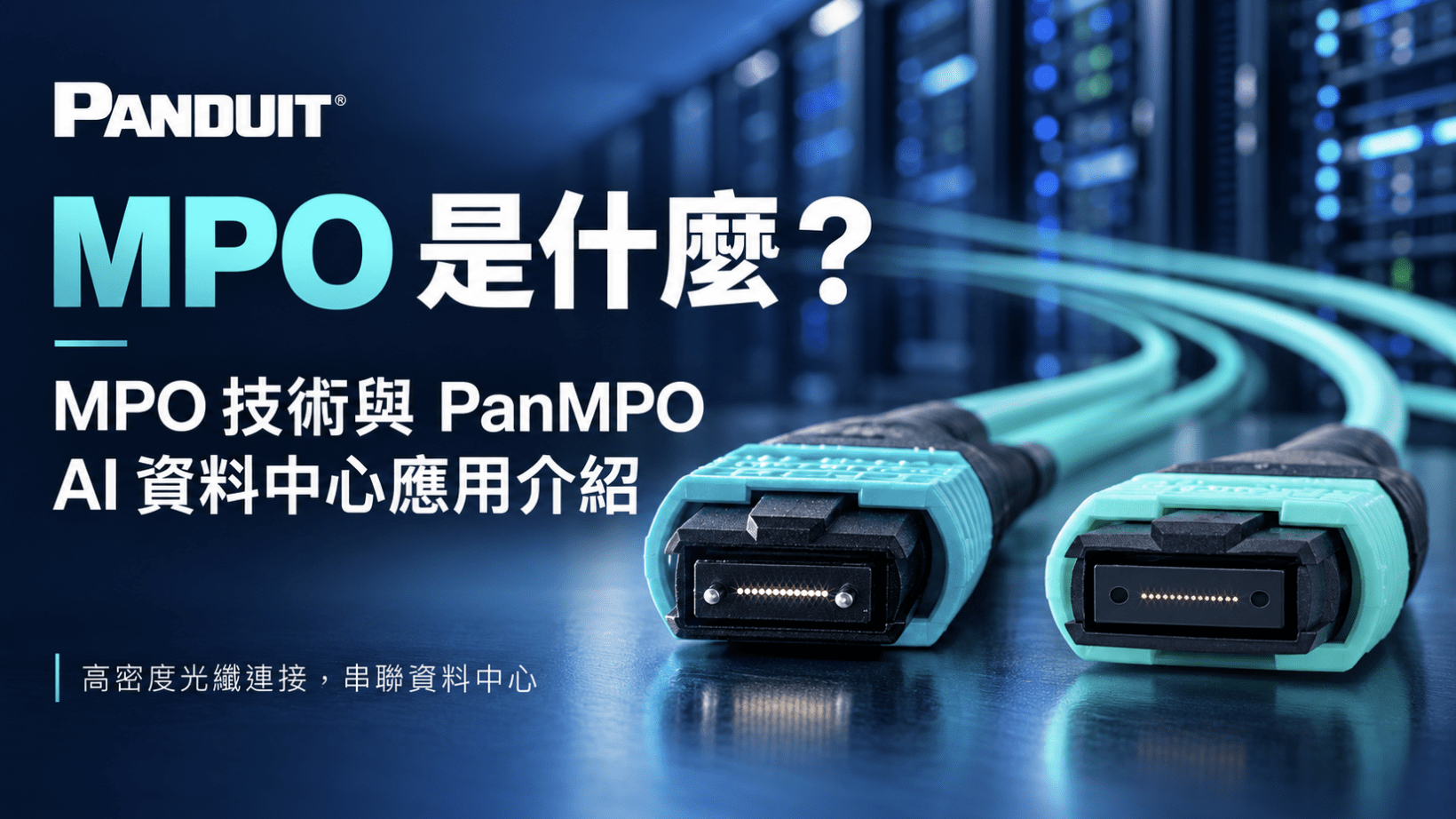 MPO 是什麼
